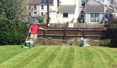 lawn care banner